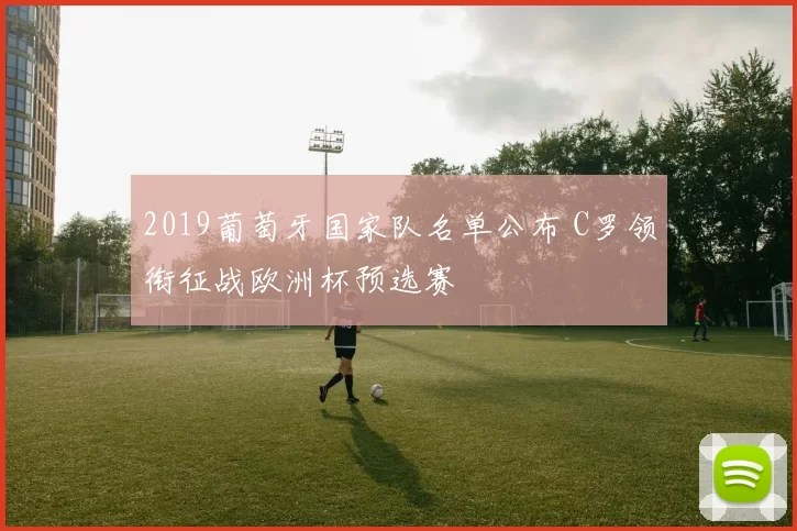 2019葡萄牙国家队名单公布 C罗领衔征战欧洲杯预选赛