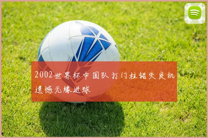 2002世界杯中国队打门柱错失良机遗憾无缘进球