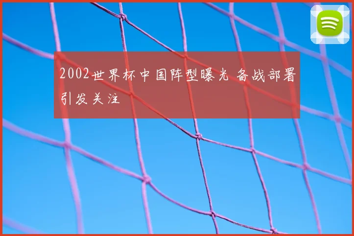 2002世界杯中国阵型曝光 备战部署引发关注
