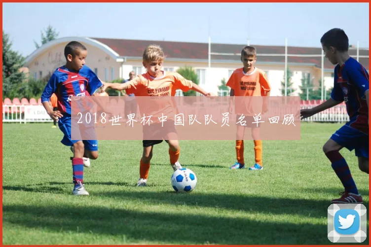 2018世界杯中国队队员名单回顾