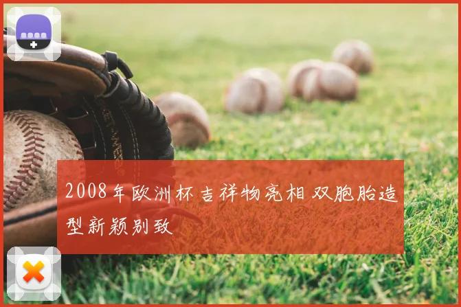 2008年欧洲杯吉祥物亮相 双胞胎造型新颖别致