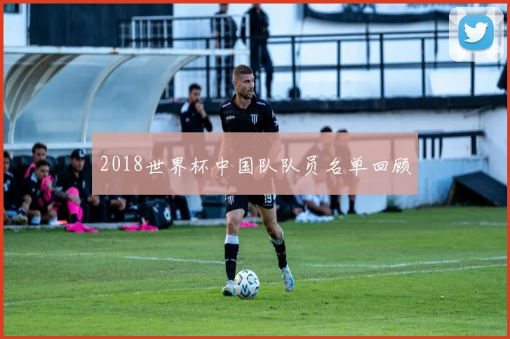 2018世界杯中国队队员名单回顾
