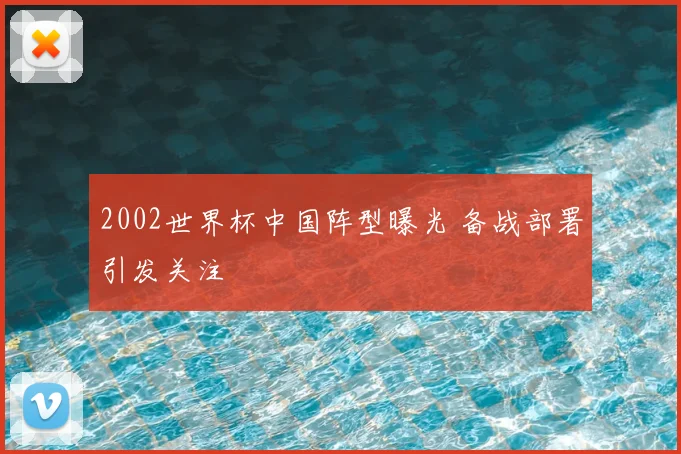 2002世界杯中国阵型曝光 备战部署引发关注