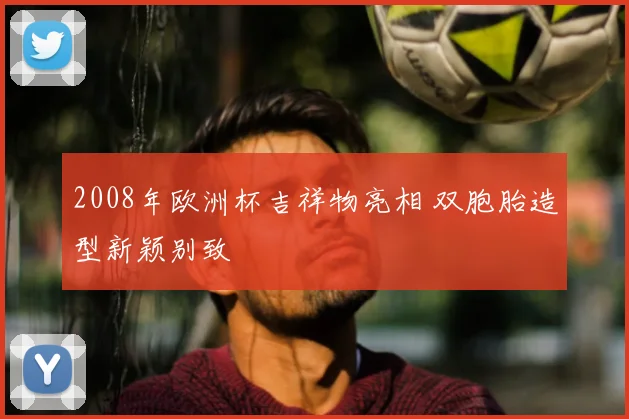 2008年欧洲杯吉祥物亮相 双胞胎造型新颖别致
